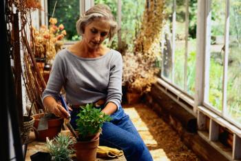 Disfruta de los beneficios de tenerlas dentro de casa